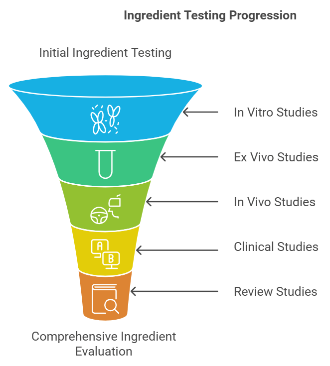 An illustration showing different studies of natural skincare ingredients.